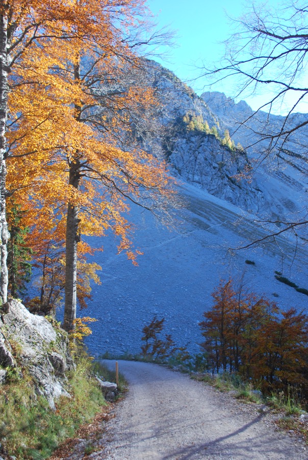 DSC_B001 165