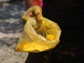 Indien_Andemannen2009_03_13836
