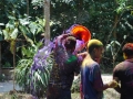 Indien_Andemannen2009_03_13850