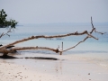 Indien_Andemannen2009_03_14188