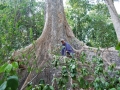 Indien_Andemannen2009_03_14268