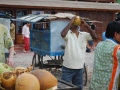 Indien_Andemannen2009_03_14515