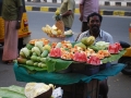 Indien_Andemannen2009_03_14613