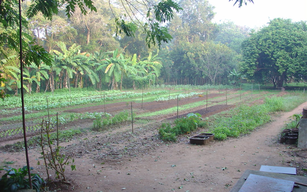 Auroville – Guesthouse Vertie` (Indien)
