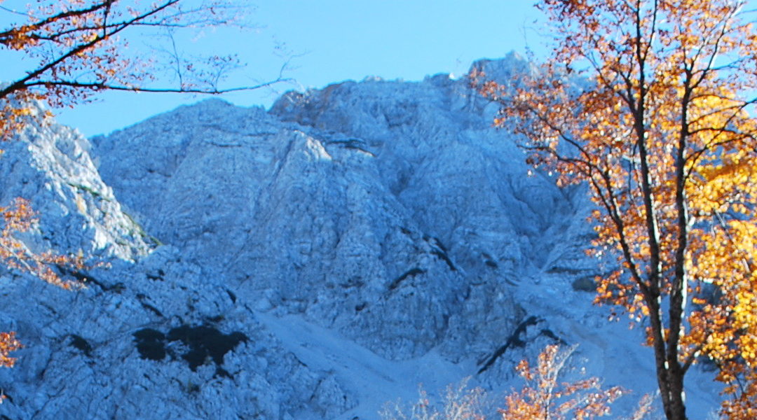 Klagenfurter Hütte (1.664m) – Bielschitza (1.901m)