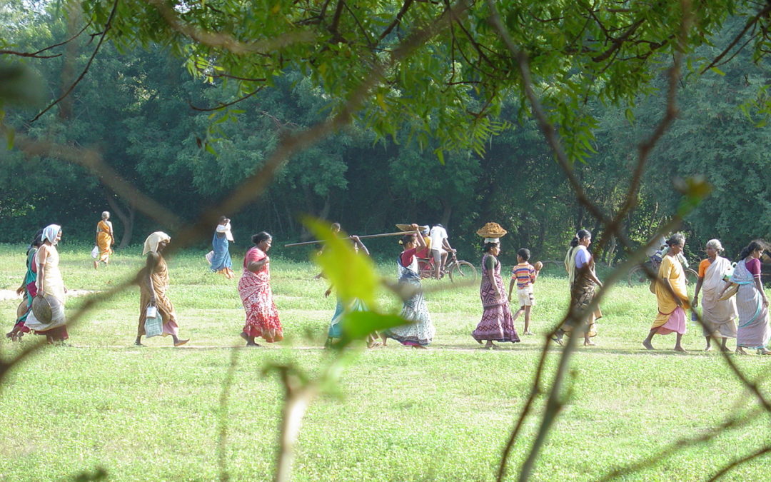 Auroville – die Vielfältigkeit (Indien)