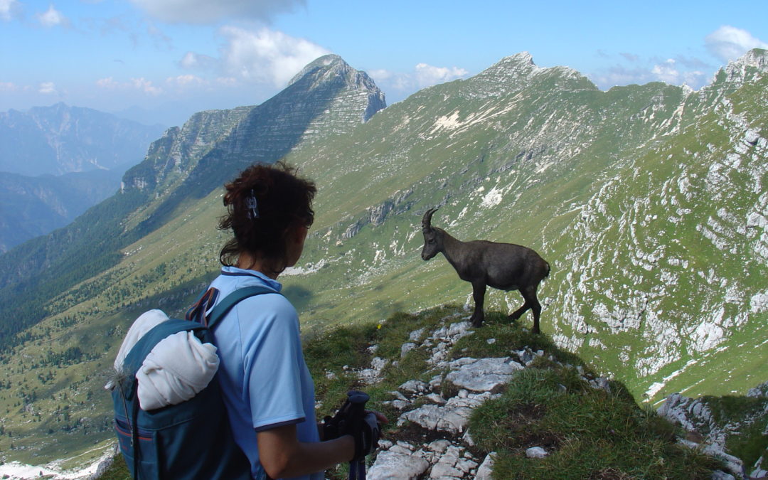 Cima di Terra Rossa (2.420m) – Italien