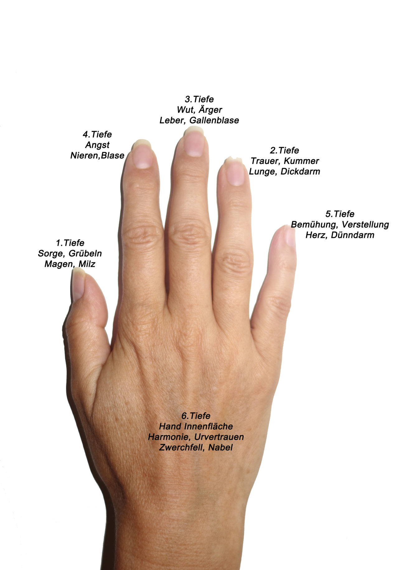 Jin Shin Jyutsu, Finger halten Vitalität erhalten Jin Shin Jyutsu, Finger halten Vitalität erhalten