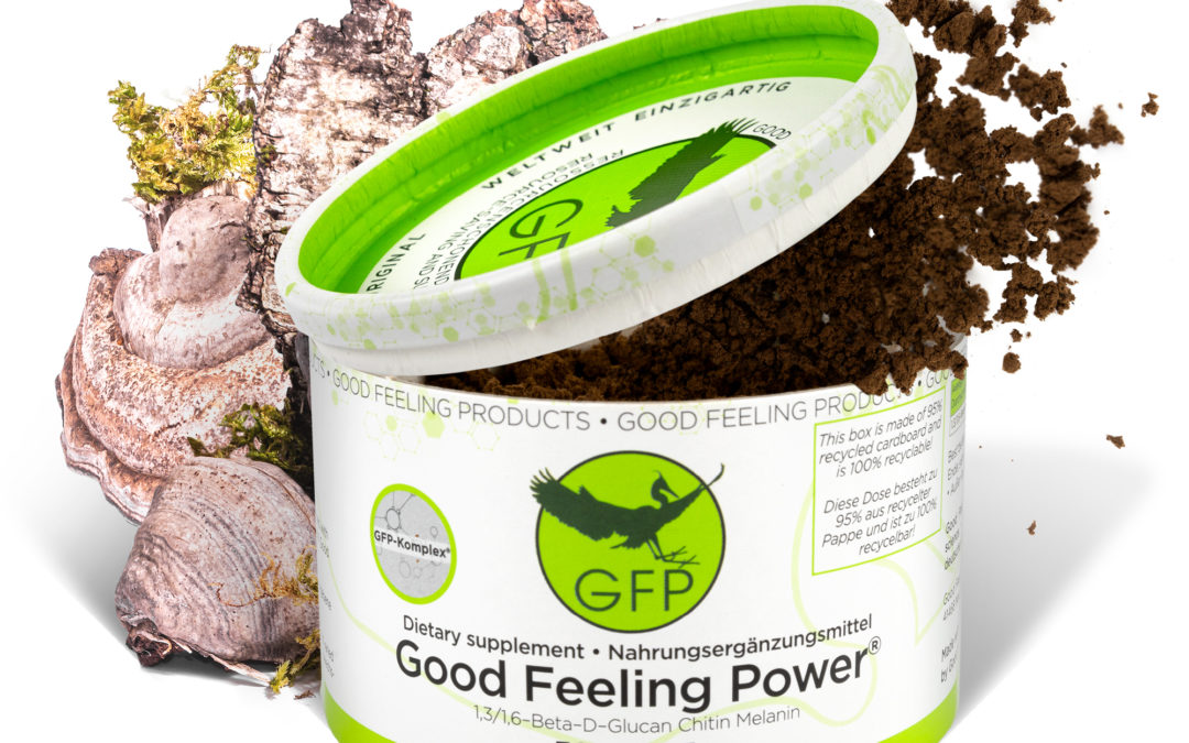 GFP Zunderschwamm – der Vitalpilz